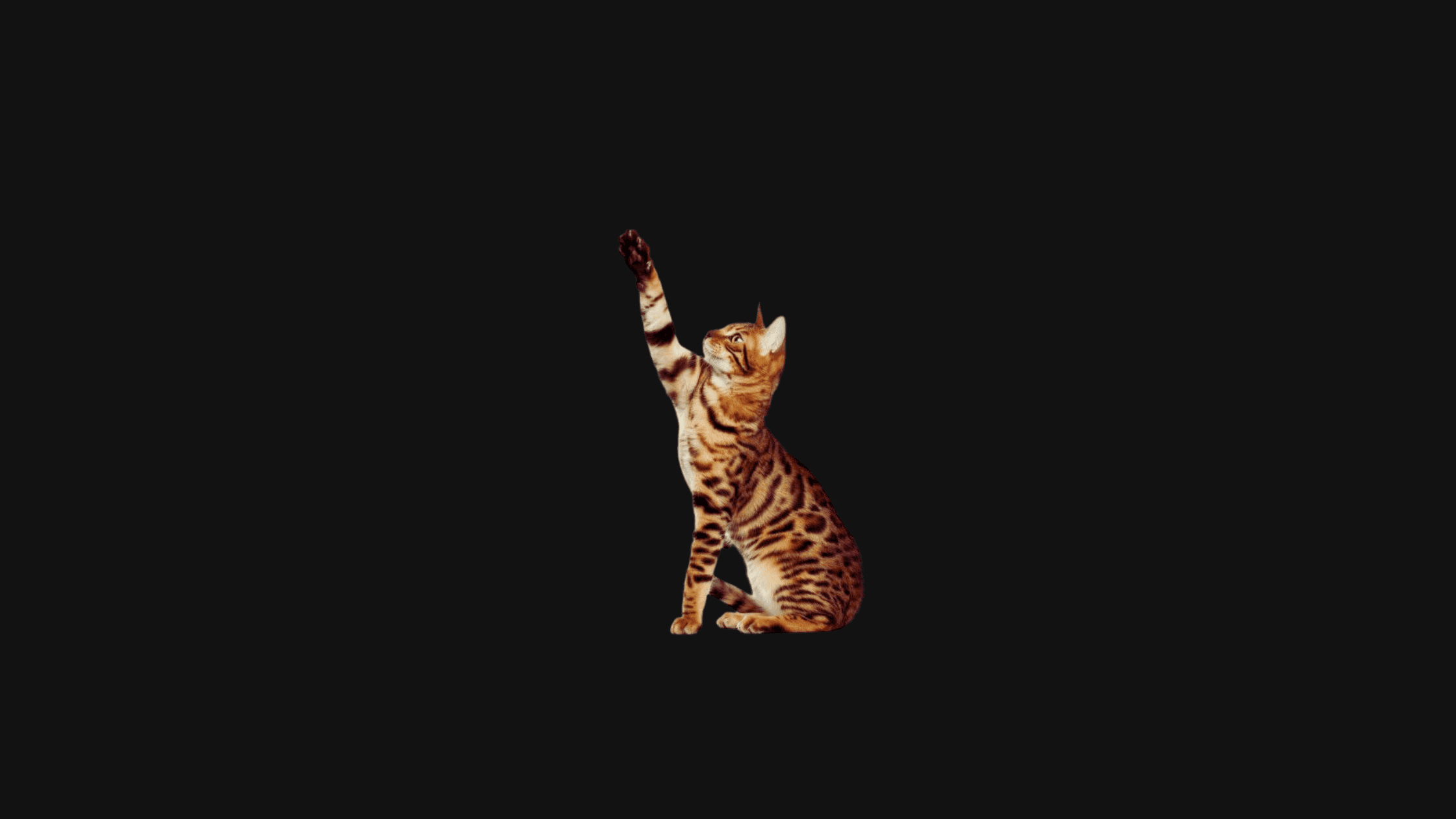 79