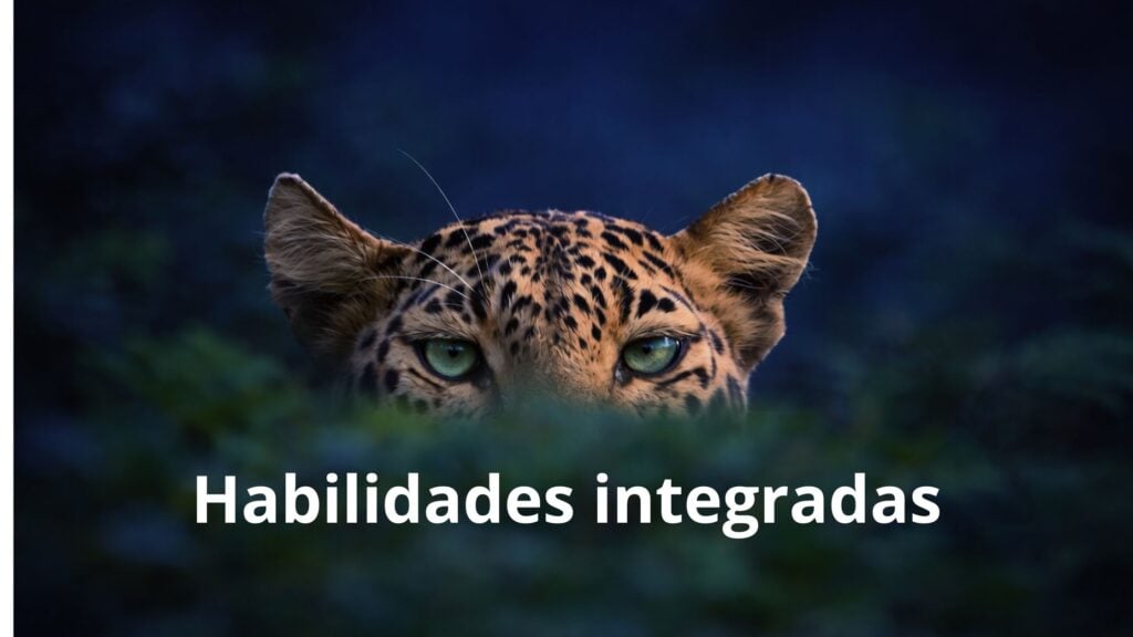 Habilidades I con letras
