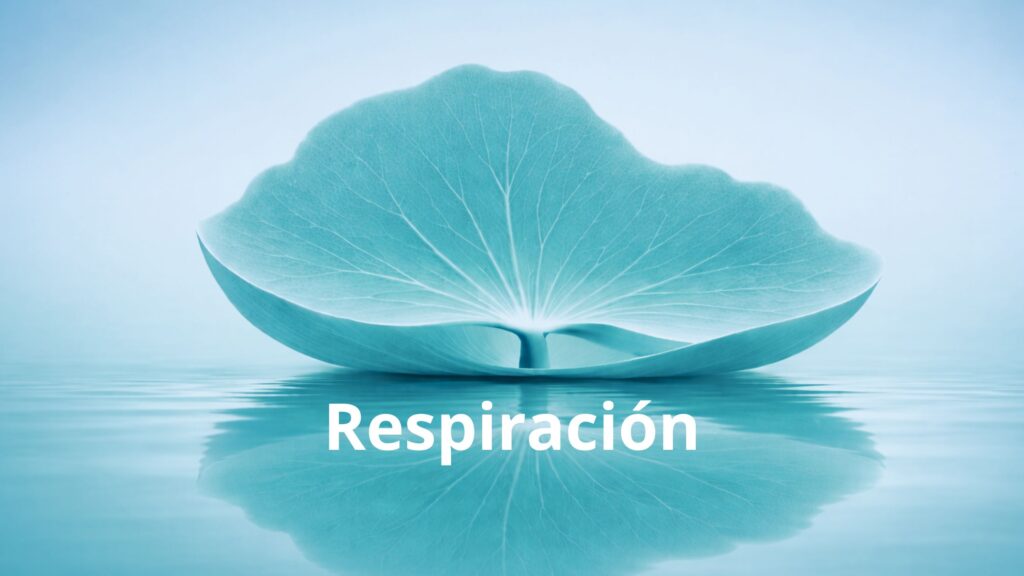 Respiración con letras